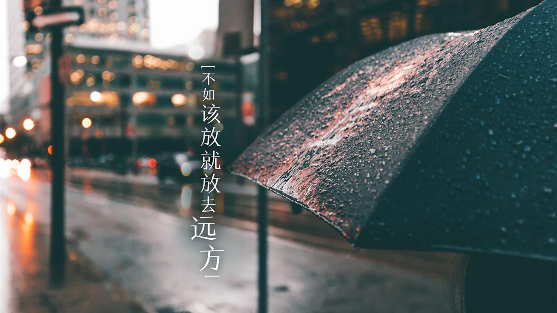 女排超级联赛打响，上海女排直落三局取首胜，女排联赛 上海