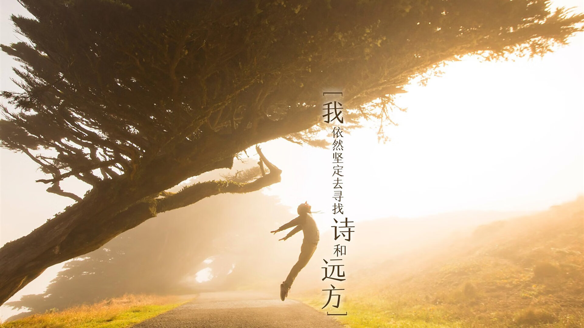 欧洲豪门纷纷出击，争夺王者的宝座即将揭晓，欧洲传统八大豪门排名