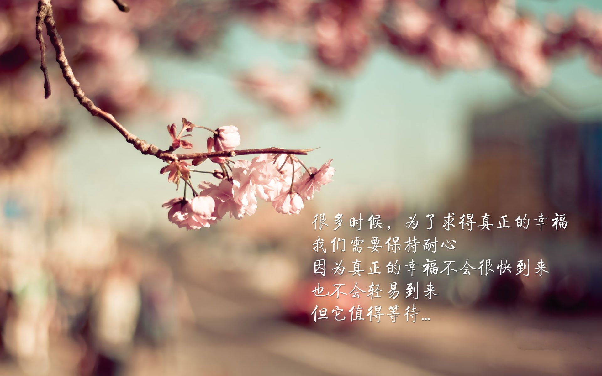 雷根斯堡_落后多特蒙德，欲夺首胜，雷根斯堡比赛