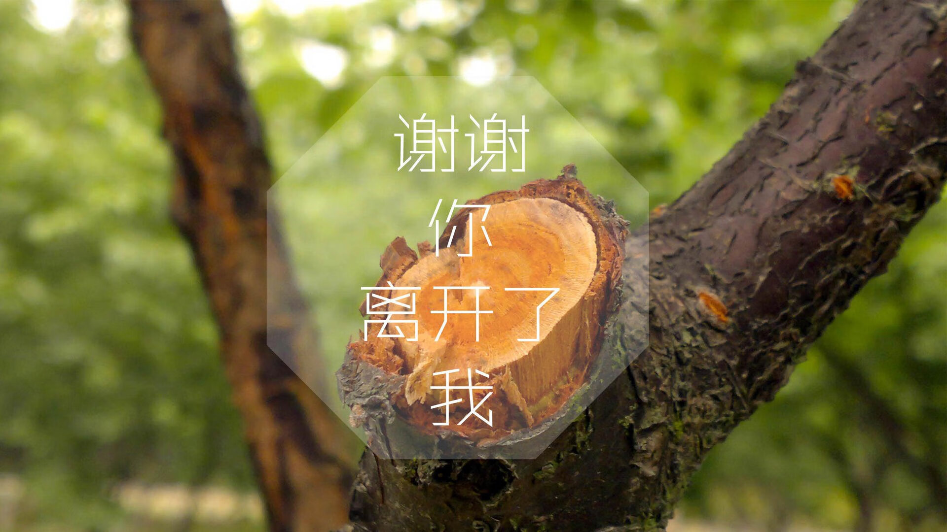 雷霆绝杀太阳，季后赛首轮中亚历山大创下生涯新高，亚历山大雷霆集锦