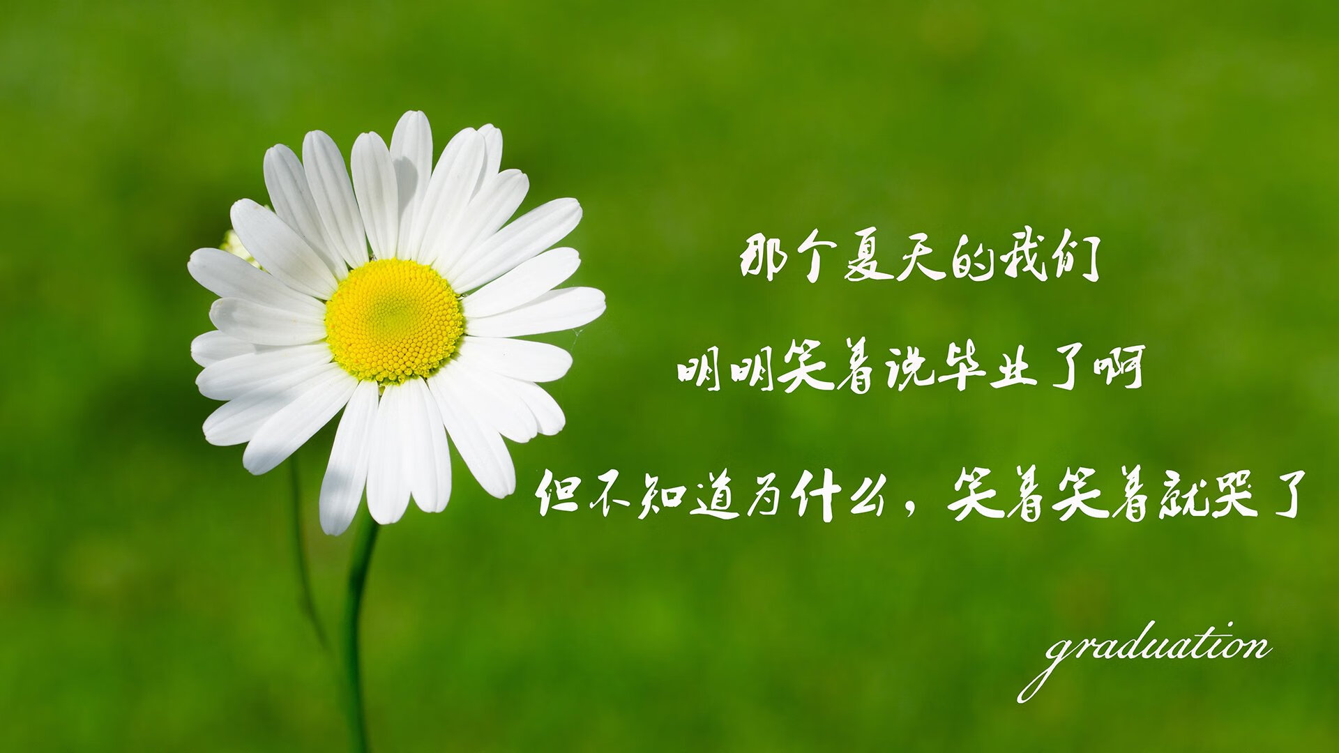 中国足球赛季战术执行难点解析，中国足球赛季战术执行难点解析