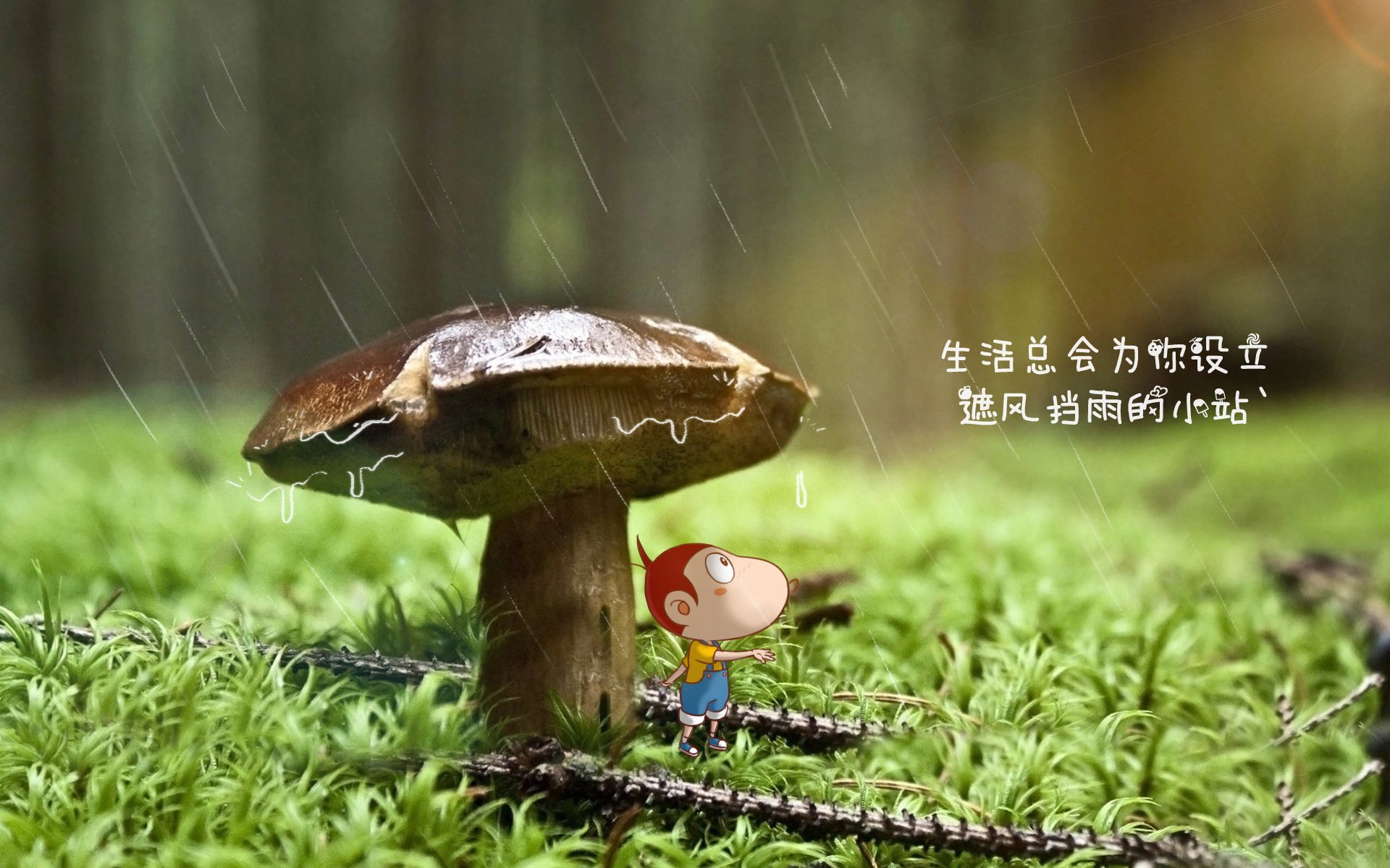 爱游戏app-2024年印度队表现：如何在国际赛场逐渐接近世界一流，印度世预赛