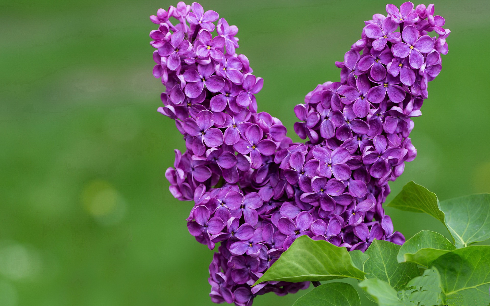 体育新闻中心助力校园体育全面发展,体育新闻中心助力校园体育全面发展的意义