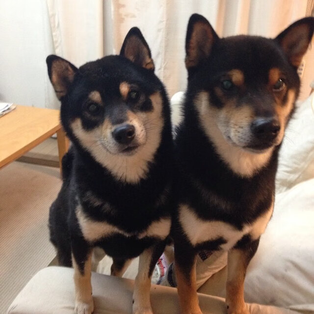 爱游戏平台-北京鸭打造积极训练氛围提升球队凝聚力，北京鸭队球员名单