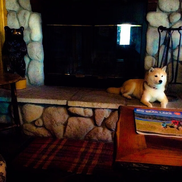 北京鸭打造积极训练氛围提升球队凝聚力,北京鸭队球员名单