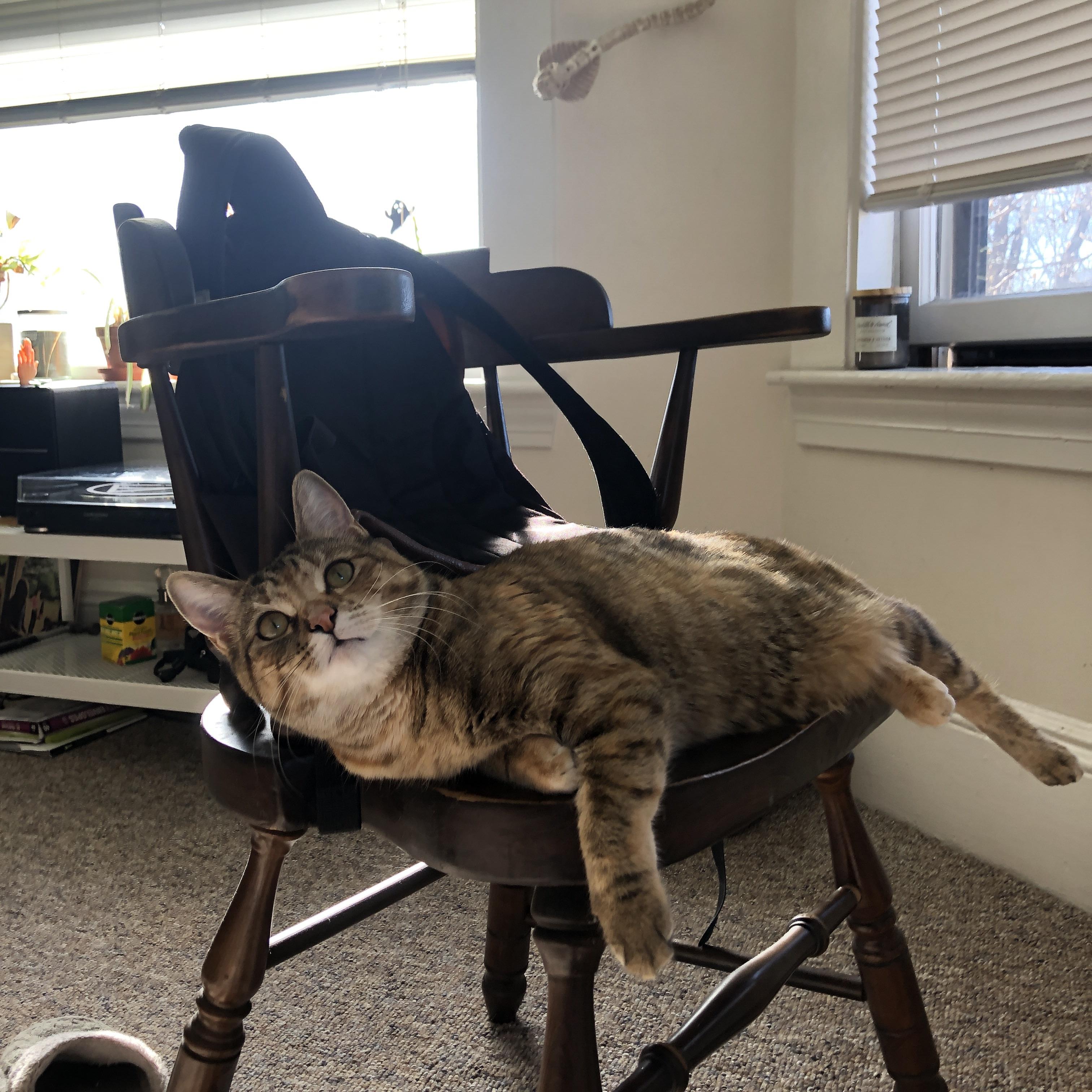 爱游戏中国官方网站平台-后腰定位清晰，稳定调度中场，后腰球员怎么建立中场优势