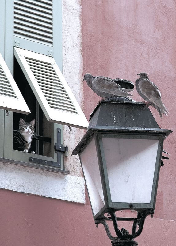 基层教练执教路径断档明显，基层教练执教路径断档明显怎么办