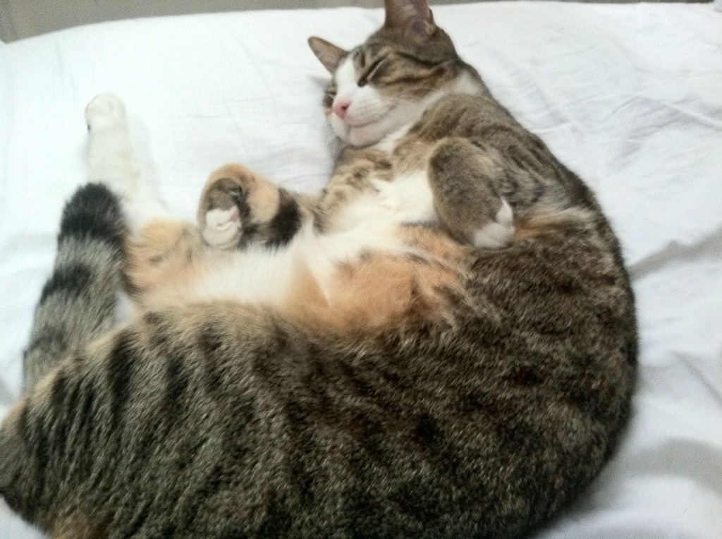 丁俊晖称比赛是压力也是前进动力，丁俊晖名场面