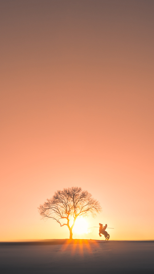 中国足球联赛主场球迷文化活动持续丰富,中国足球球迷数量统计