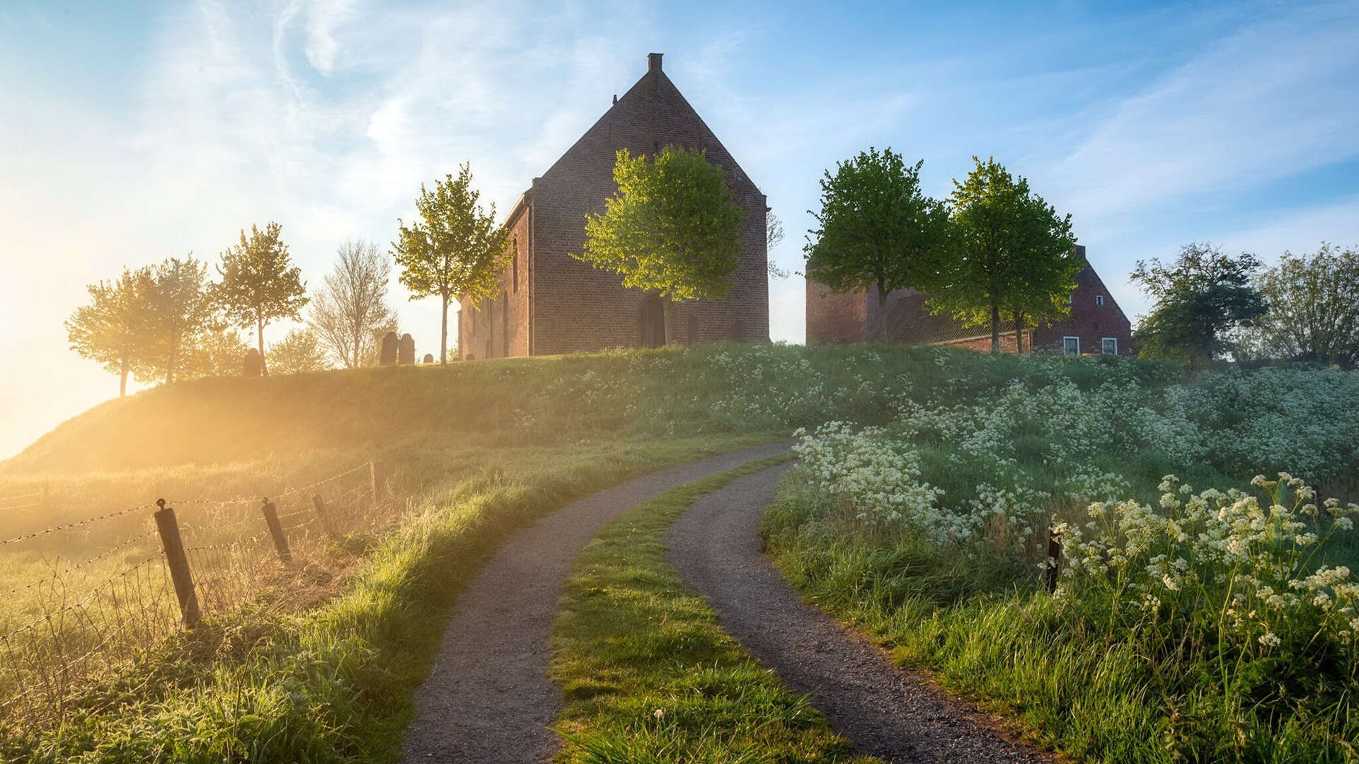 中学生篮球比赛观赛人数突破记录展现青少年体育热情，篮球比赛 中学生