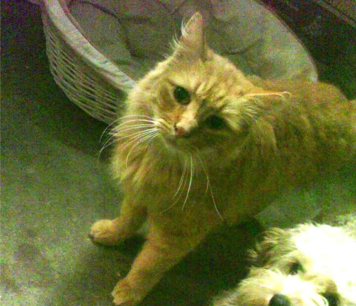 俱乐部联合媒体举办球迷开放日增强社区联动感情基础，如何开展俱乐部活动