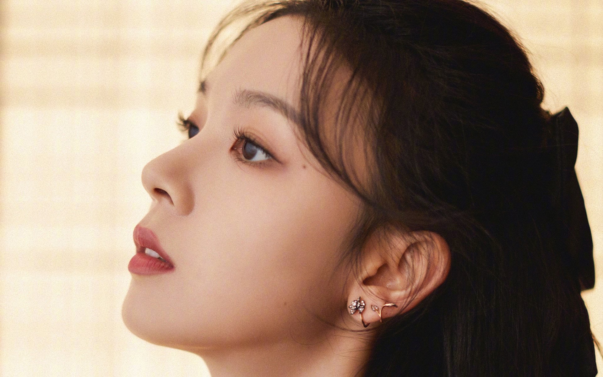 法甲球队的粉丝俱乐部建设，法甲有多少俱乐部