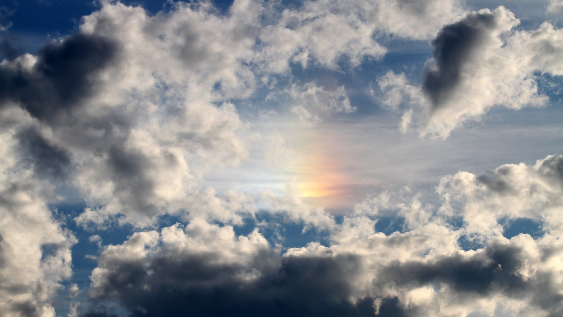 爱游戏官方网站-澳大利亚袋鼠队的战术打法越发成熟，成全球橄榄球新力量，澳洲袋鼠打拳击