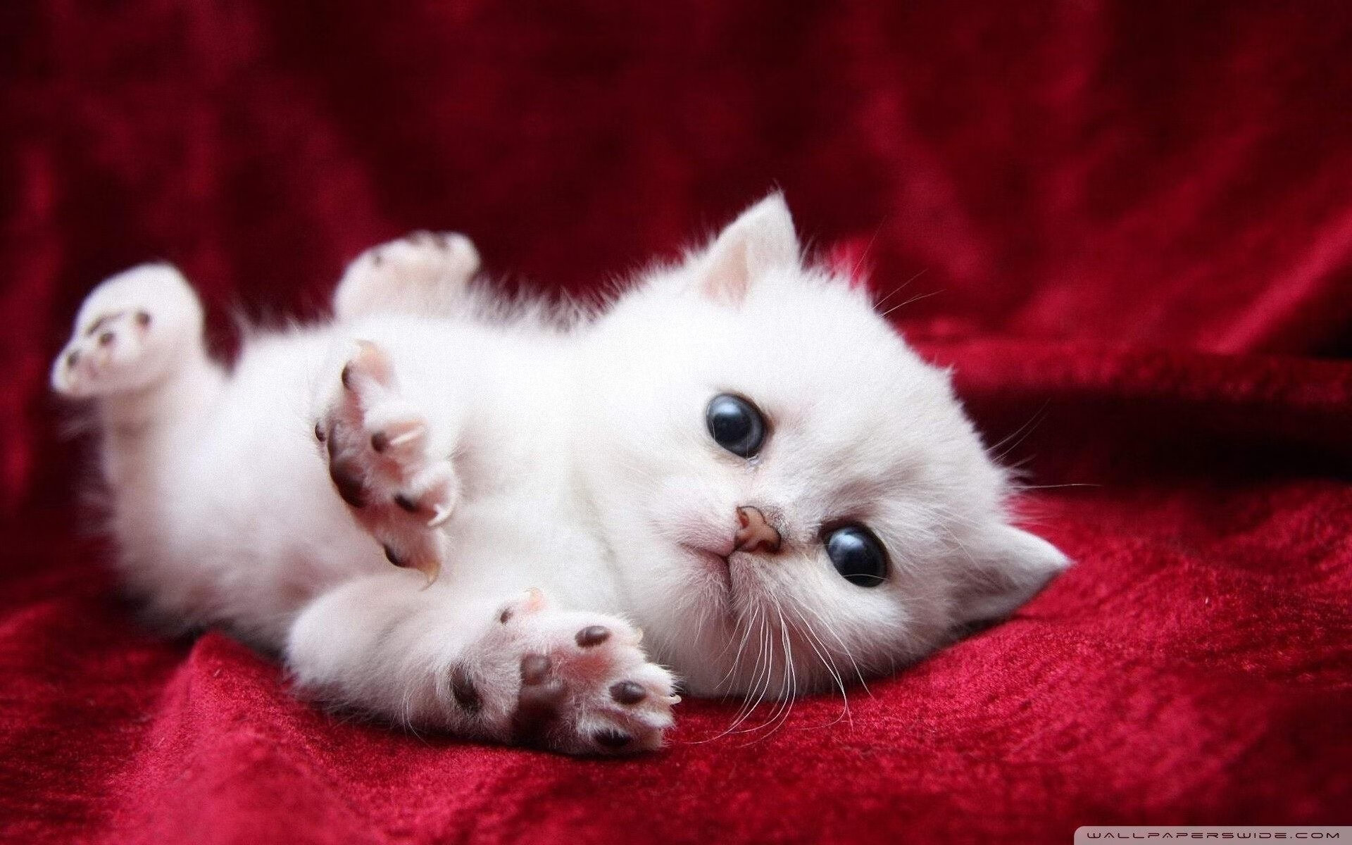 爱游戏体育APP下载-骑士内部会议重点讨论节奏掌控和出手选择，骑士vhr