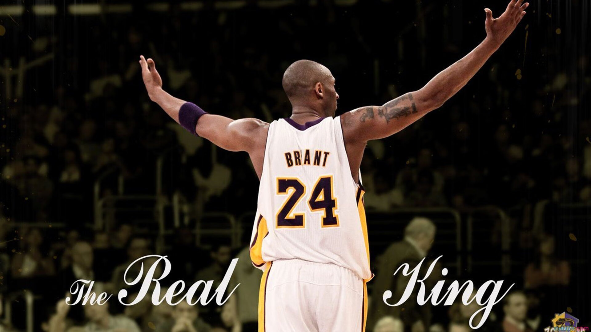 现场氛围：球迷歌声雷动，场内热情高涨！，足球场球迷唱的歌